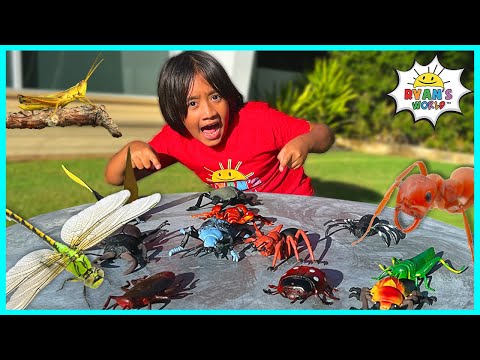 Learn about Bugs Facts for Kids with Ryan&#039;s World!