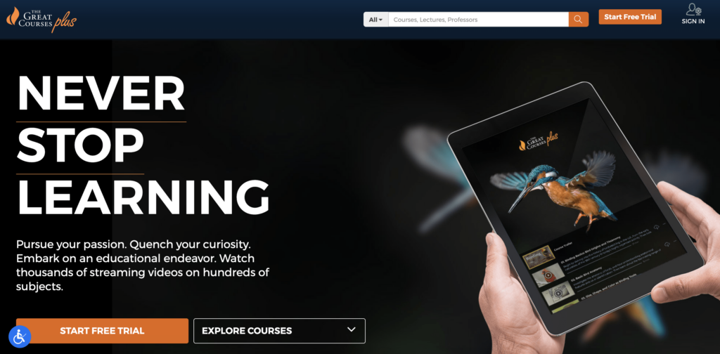 Christmas gift idea - great courses plus