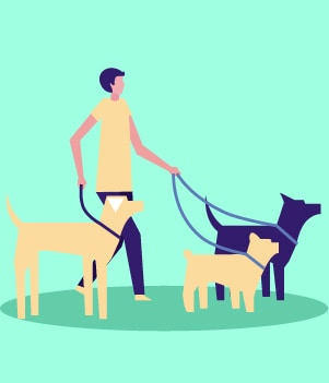 11.Become A Dog Walker