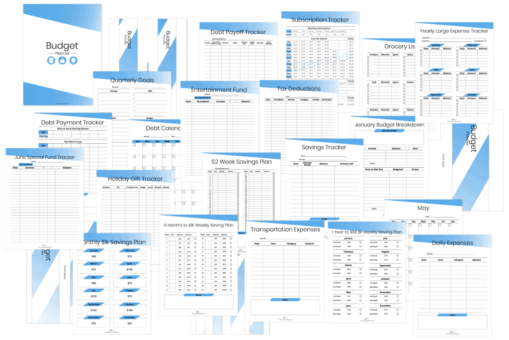 165 LifeUpswing budget planner