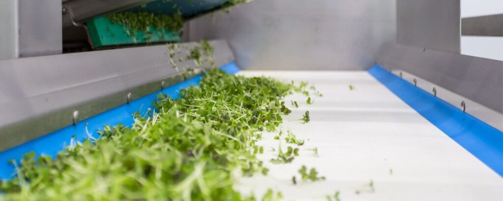 How to Sell Your Microgreens