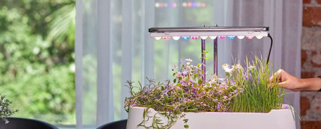 How to Launch a Profitable Microgreens Business at Home 2 Plan for a Microgreens Business