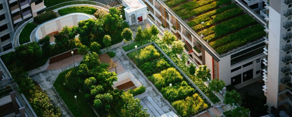 What is an Urban Garden?