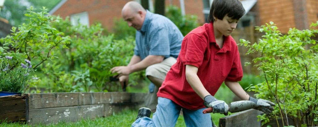 Growing food