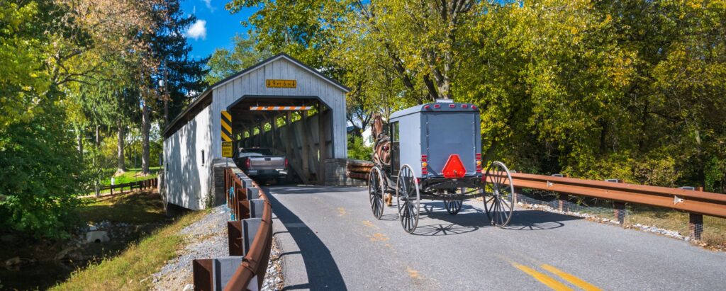 Amish carriage behind the wooden bridge